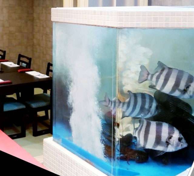 《両替町店》お部屋の水槽
